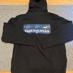 Size Medium Patagonia Front and Back Mountain Hoodie